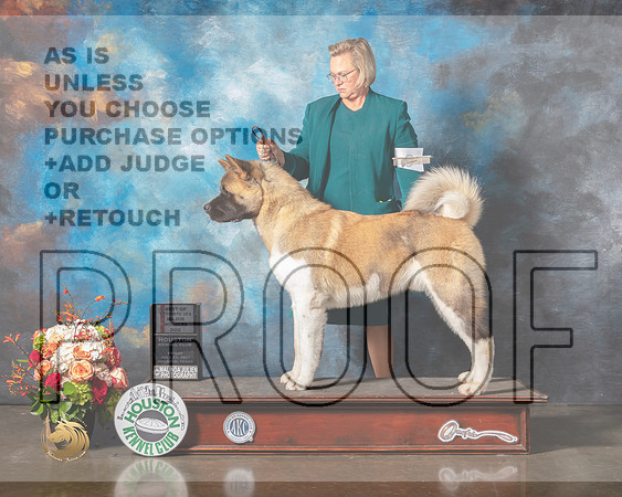 Akita #9 Fri WD Major Judge Sherry Webster-MMJ_0695-HOUSTON21-HR3