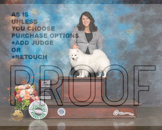 American Eskimo #14 Fri BOS Judge Sharon Newcomb-MMJ_0612-HOUSTON21-HR3
