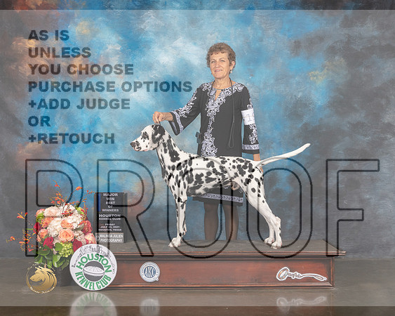 Dalmatian #19 Fri BOW BOB Major Judge Sharon Newcomb-MMJ_0621-HOUSTON21-HR3