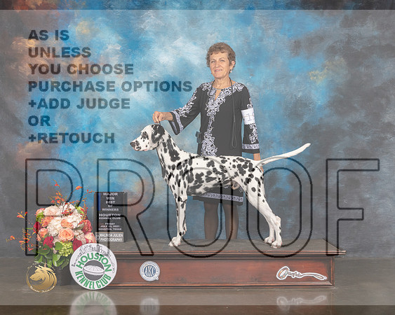 Dalmatian #19 Fri BOW BOB Major Judge Sharon Newcomb-MMJ_0622-HOUSTON21-HR3