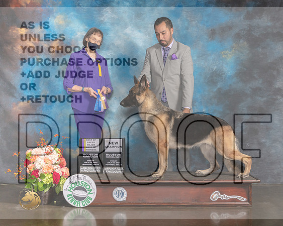 German Shepherd Dog #24 Fri WB BOW BOB NCH Major Judge Linda Scanlon-MMJ_0703-HOUSTON21-HR3
