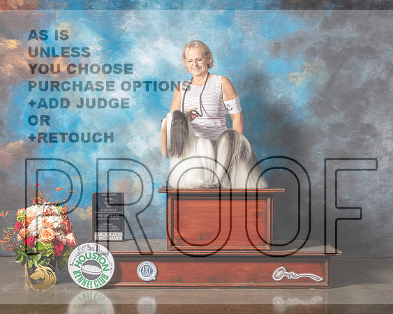 Lhasa Apso #9 Fri WD BW Major Judge Sharon Newcomb-MMJ_0709-HOUSTON21-HR3