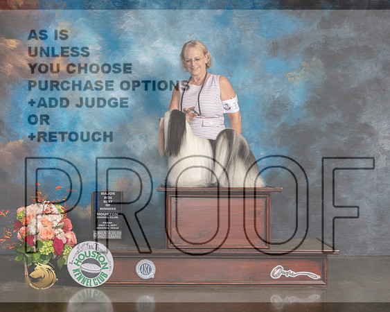 Lhasa Apso #9 Fri WD BW Major Judge Sharon Newcomb-MMJ_0711-HOUSTON21-HR3