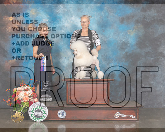 Miniature Poodle #18 Fri WB Judge Evalyn Gregory-MMJ_0749-HOUSTON21-HR3