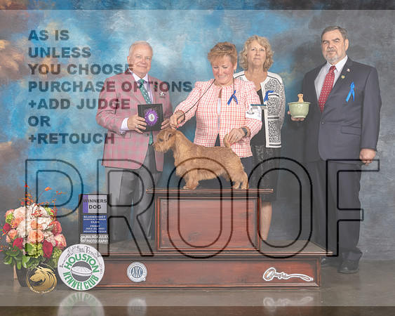 Norfolk Terrier #11 Fri WD Judge Dennis Mccoy-MMJ_0652-HOUSTON21-HR3
