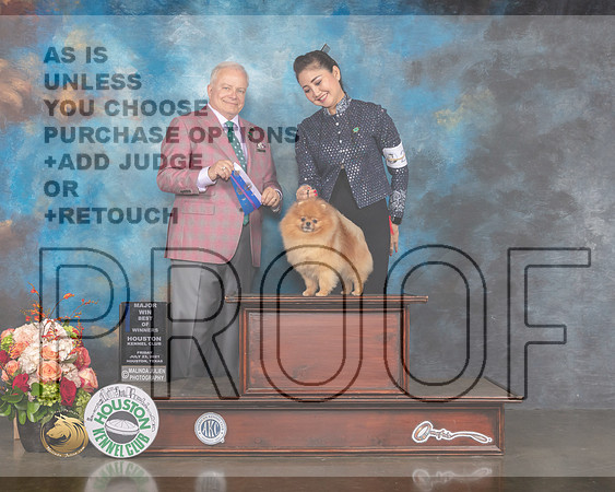 Pomeranian #27 Fri BOW Major Judge Dennis Mccoy-MMJ_0659-HOUSTON21-HR3