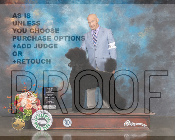 Standard Poodle #20 Fri WB BOW Judge Evalyn Gregory-MMJ_0733-HOUSTON21-HR3