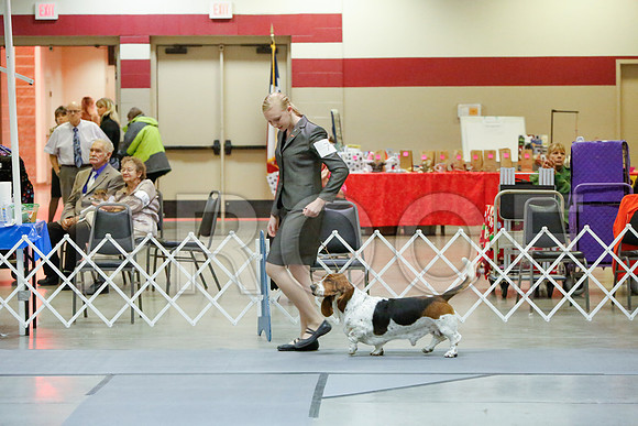 _JJ_4107-AmarilloSept2014-HR3