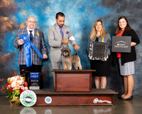 Affenpinscher #5 Fri G1 Judge Ray Filburn