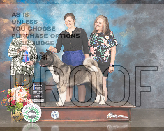 Akita #8 Fri BOW Judge Sherry Webster-MMJ_0772-HOUSTON21-HR3
