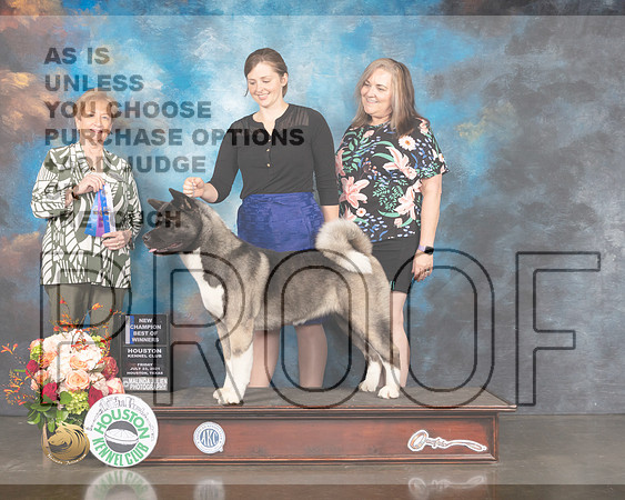 Akita #8 Fri BOW Judge Sherry Webster-MMJ_0774-HOUSTON21-HR3