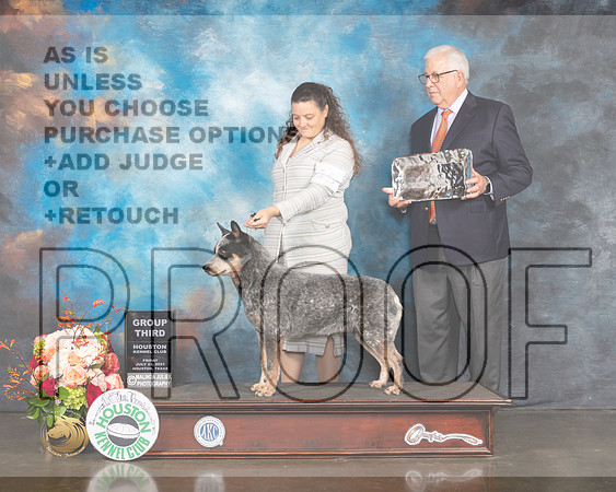 Australian Cattle Dog #15 Fri G3 Judge Peggy Beisel McIllwane-MMJ_0994-HOUSTON21-HR3