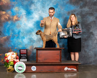 Border Terrier #14 Fri G2 Judge Rosalind Kramer