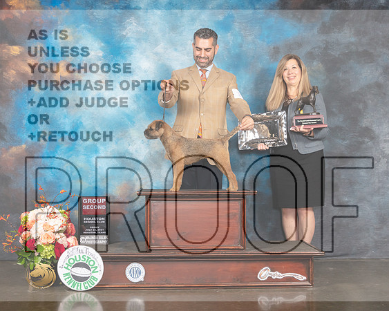 Border Terrier #14 Fri G2 Judge Rosalind Kramer-MMJ_0895-HOUSTON21-HR3