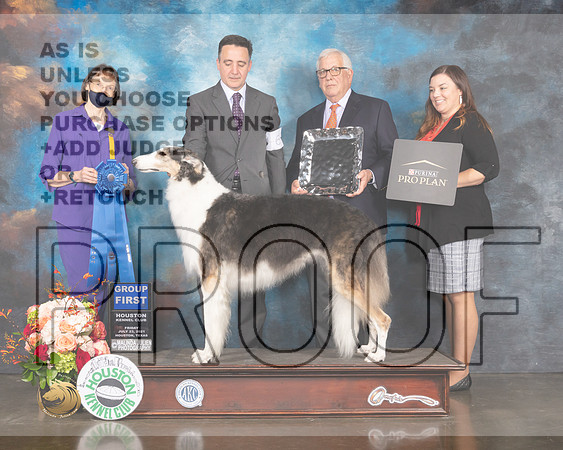 Borzoi #6 Fri G1 Judge Linda Scanlon-MMJ_0788-HOUSTON21-HR3