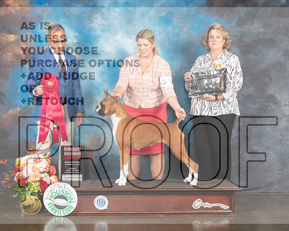Boxer #38 Fri G2 Judge David Haddock-MMJ_1039e-HOUSTON21-HR3