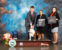 Bulldog #20 Fri G1 Judge Randy Garren