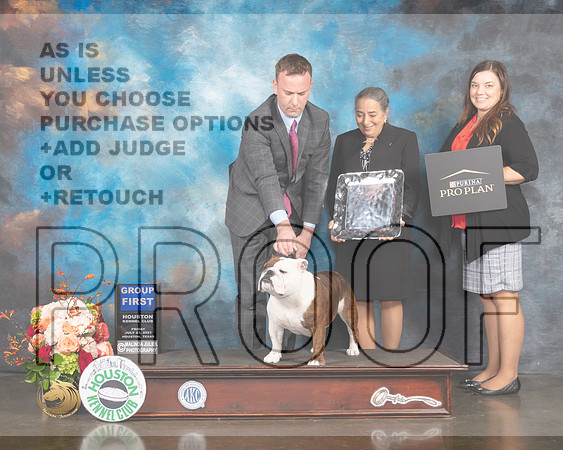 Bulldog #20 Fri G1 Judge Randy Garren-MMJ_1103-HOUSTON21-HR3