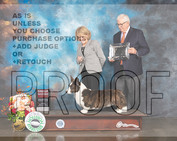 Cardigan Welsh Corgi #5 Fri G2 Judge Peggy Beisel McIllwane-MMJ_0981-HOUSTON21-HR3