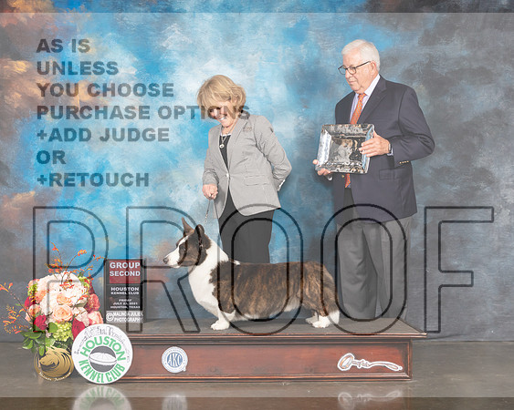 Cardigan Welsh Corgi #5 Fri G2 Judge Peggy Beisel McIllwane-MMJ_0987-HOUSTON21-HR3