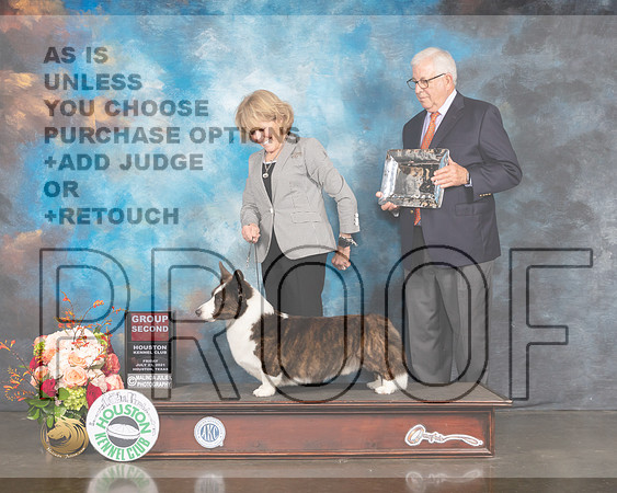 Cardigan Welsh Corgi #5 Fri G2 Judge Peggy Beisel McIllwane-MMJ_0986-HOUSTON21-HR3