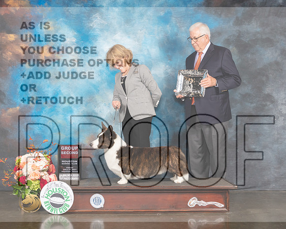 Cardigan Welsh Corgi #5 Fri G2 Judge Peggy Beisel McIllwane-MMJ_0991-HOUSTON21-HR3