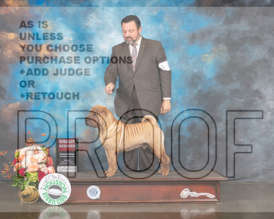 Chinese Shar Pei #5 Fri G2 Judge Randy Garren-MMJ_1108-HOUSTON21-HR3