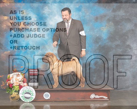 Chinese Shar Pei #5 Fri G2 Judge Randy Garren-MMJ_1111-HOUSTON21-HR3