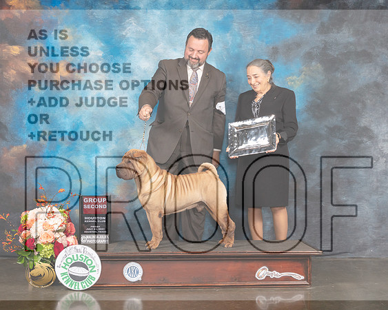 Chinese Shar Pei #5 Fri G2 Judge Randy Garren-MMJ_1112-HOUSTON21-HR3