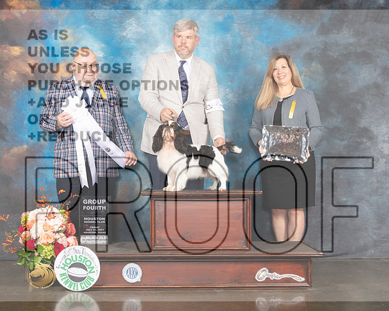 English Toy Spaniel #5 Fri Judge Ray Filburn-MMJ_0950-HOUSTON21-HR3