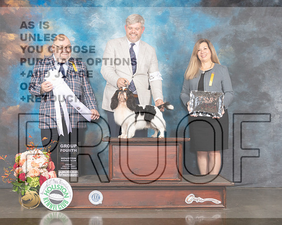 English Toy Spaniel #5 Fri Judge Ray Filburn-MMJ_0951-HOUSTON21-HR3