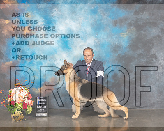 German Shepherd Dog #22 Fri BOW Judge Peggy Beisel McIllwane-MMJ_1060-HOUSTON21-HR3