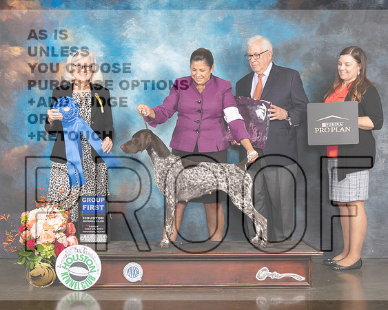 German Shorthaired Pointer #30 Thur G1 Judge Molly Martin-MMJ_0830-HOUSTON21-HR3