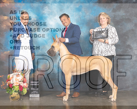 Great Dane #54 Fri G4 Judge David Haddock-MMJ_1053e-HOUSTON21-HR3