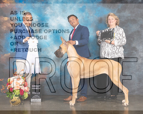 Great Dane #54 Fri G4 Judge David Haddock-MMJ_1054e-HOUSTON21-HR3