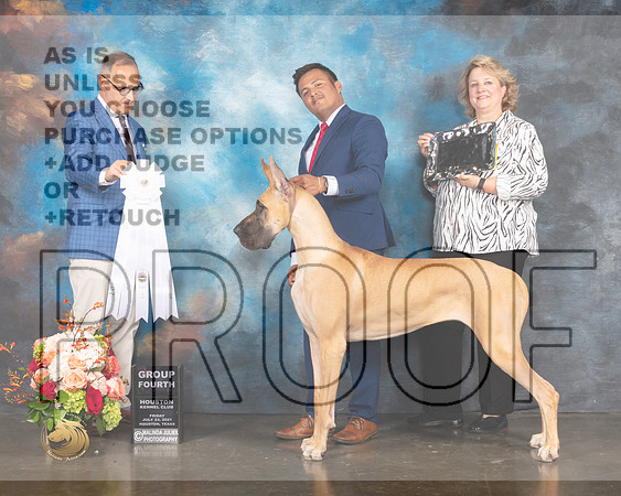 Great Dane #54 Fri G4 Judge David Haddock-MMJ_1055e-HOUSTON21-HR3