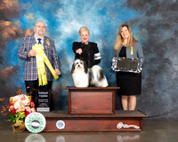 Havanese #7 Fri G3 Judge Ray Filburn