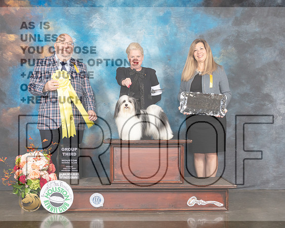 Havanese #7 Fri G3 Judge Ray Filburn-MMJ_0940-HOUSTON21-HR3