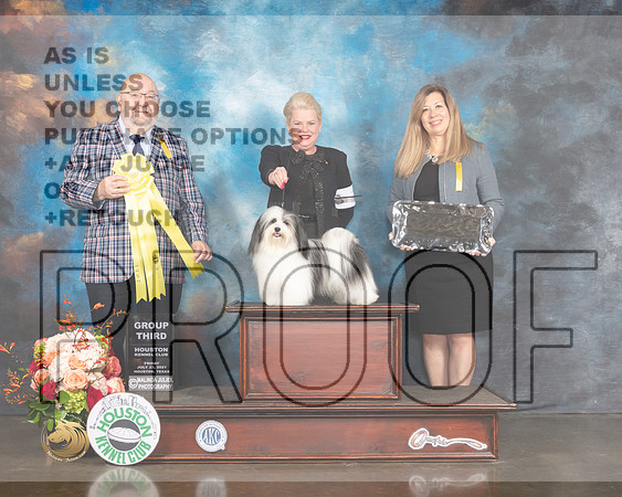 Havanese #7 Fri G3 Judge Ray Filburn-MMJ_0942-HOUSTON21-HR3