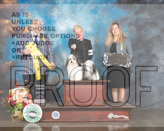 Havanese #7 Fri G3 Judge Ray Filburn-MMJ_0943-HOUSTON21-HR3
