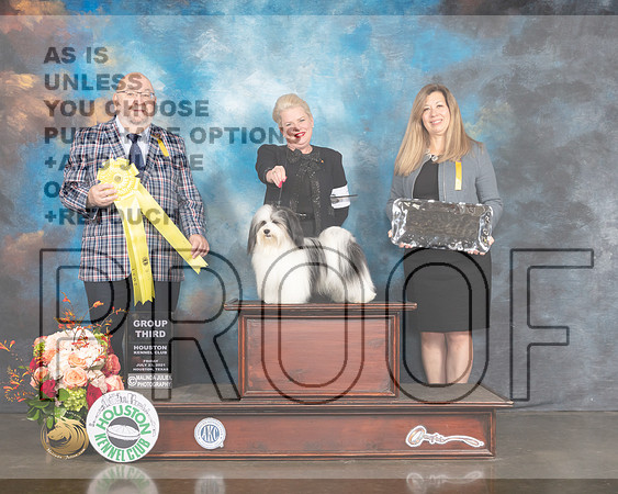 Havanese #7 Fri G3 Judge Ray Filburn-MMJ_0947-HOUSTON21-HR3