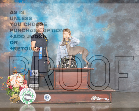 Italian Greyhound #11 Fri Judge Evalyn Gregory-MMJ_0955-HOUSTON21-HR3