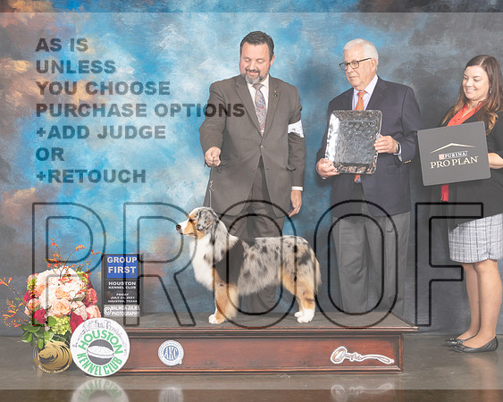 Miniature American Shepherd #14 Fri G1 Judge Peggy Beisel McIllwane-MMJ_0967-HOUSTON21-HR3