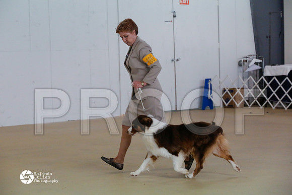 Aus-6512-HtoJan14-HR