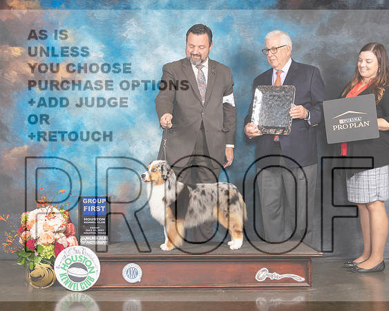 Miniature American Shepherd #14 Fri G1 Judge Peggy Beisel McIllwane-MMJ_0971-HOUSTON21-HR3