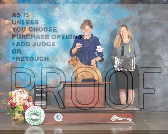 Norfolk Terrier #15 Fri G4 Judge Rosalind Kramer-MMJ_0916-HOUSTON21-HR3