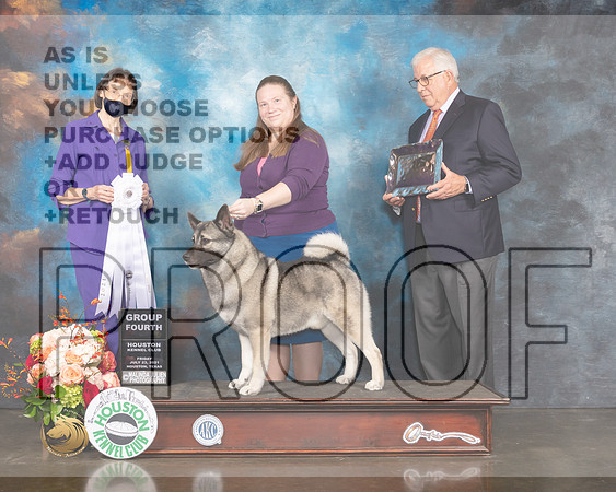 Norwegian Elkhound #5 Thur G4 Jduge Linda Scanlon-MMJ_0807-HOUSTON21-HR3