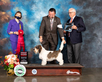 PBGV #8 Thur G2 Judge Linda Scanlon