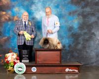 Pekingese #8 Fri ROHBIS Judge Ray Filburn