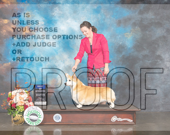 Pembroke Welsh Corgi #17 Fri WD Judge Linda Scanlon-MMJ_0760-HOUSTON21-HR3